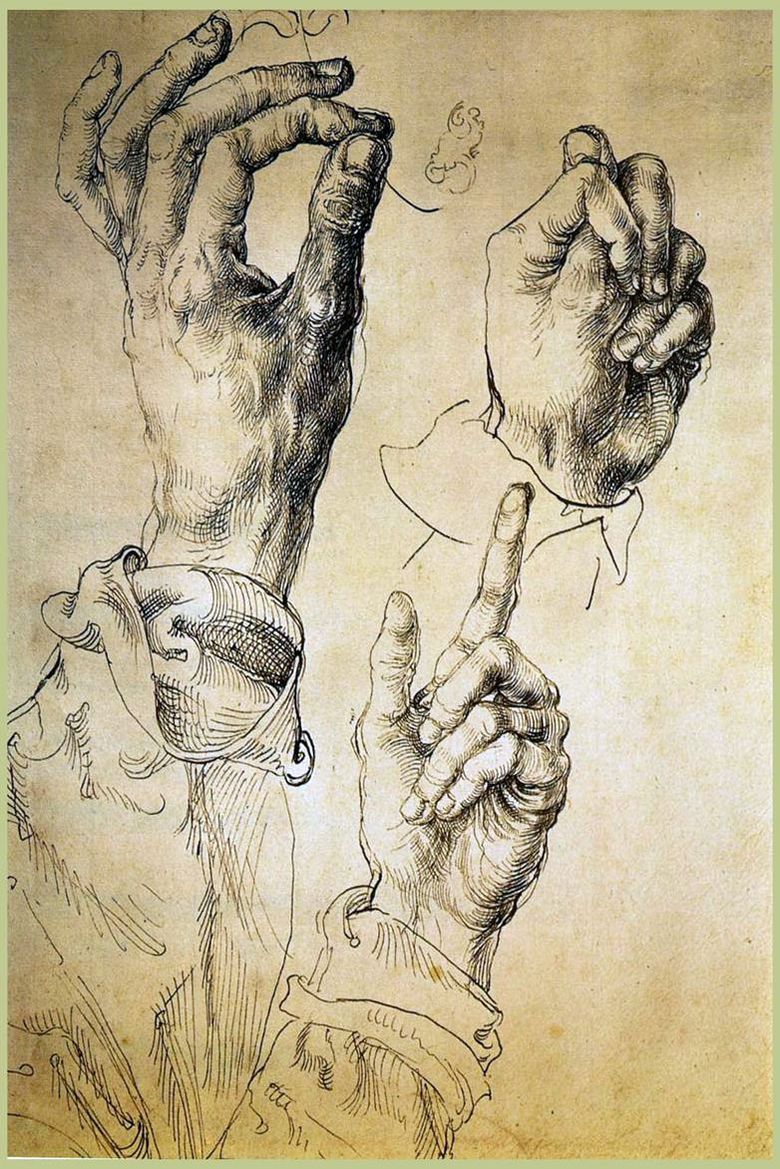 Μελέτη Three Hands   Albrecht Durer